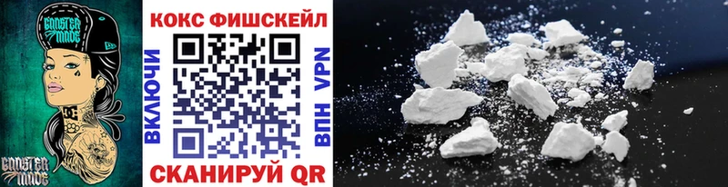 Купить где  Красногорск  COCAIN Fish Scale 