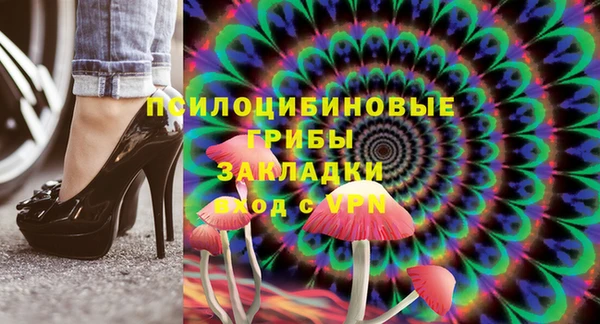 сатива Козловка