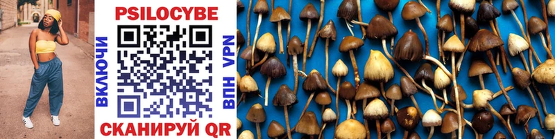 Галлюциногенные грибы MAGIC MUSHROOMS  Купить где  Красногорск 